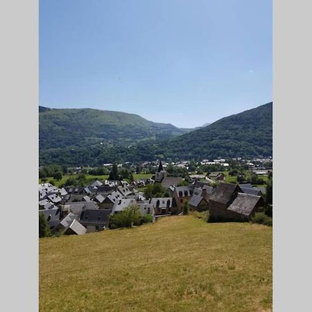 St Lary-Vignec Charmant Studio Au Calme Exteriör bild