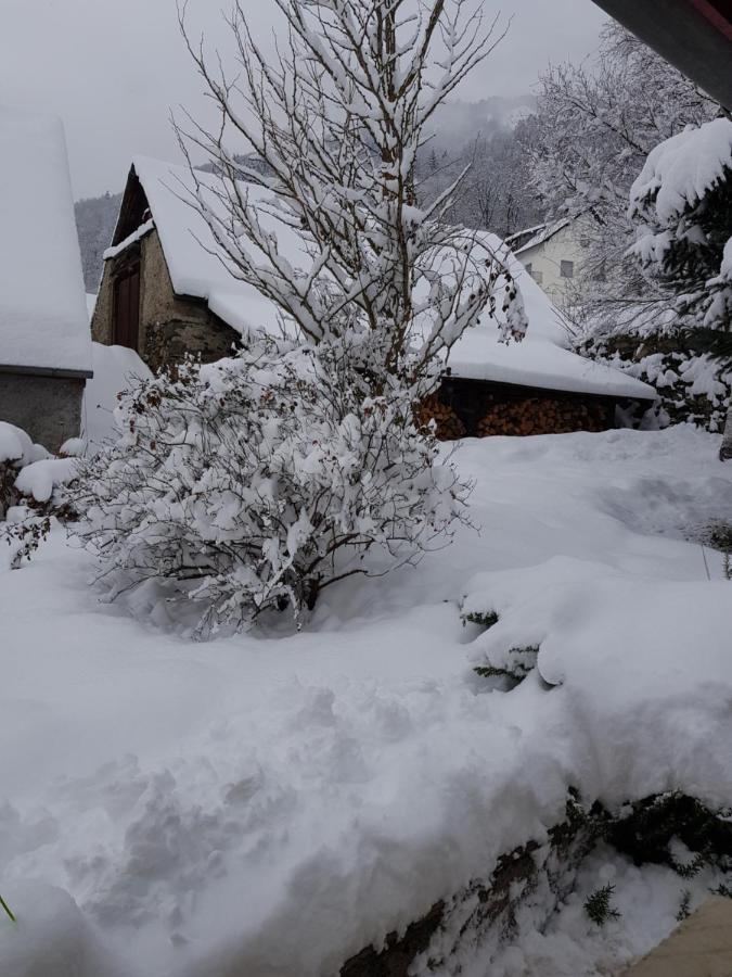 St Lary-Vignec Charmant Studio Au Calme Exteriör bild